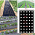 Perforirana agro folija 10 metara